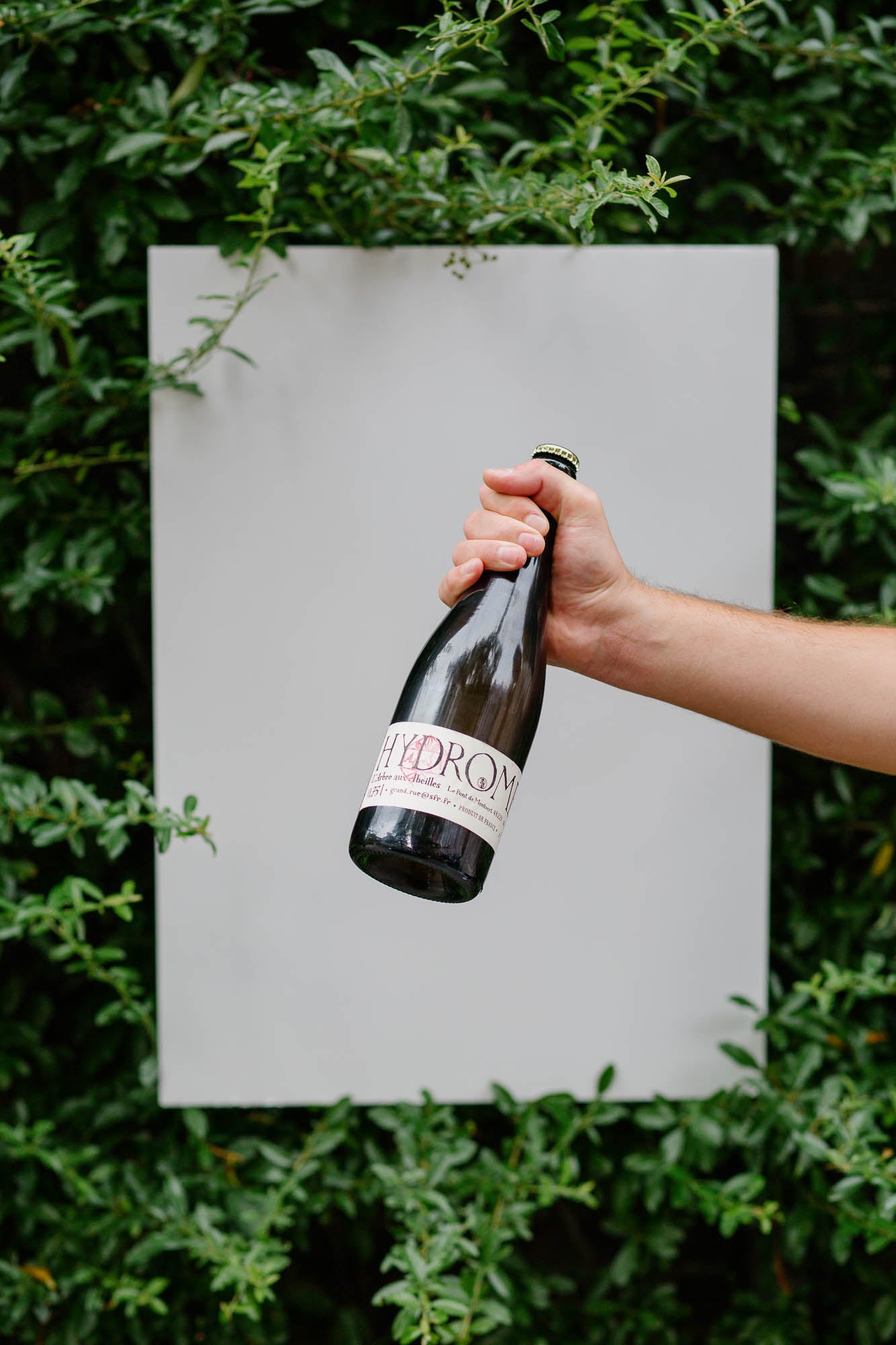 Hydromel Pétillant 2021